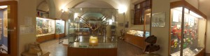 Museum of Geology & Paleontology
